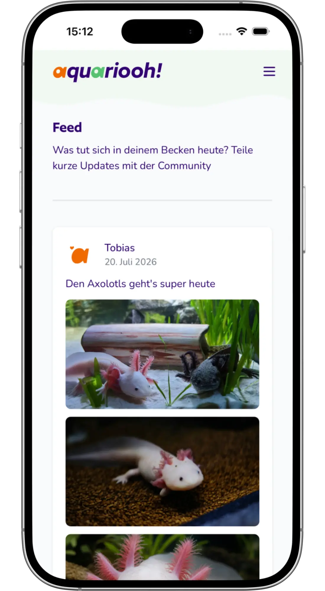 Feed in der aquariooh! App auf einem Smartphone